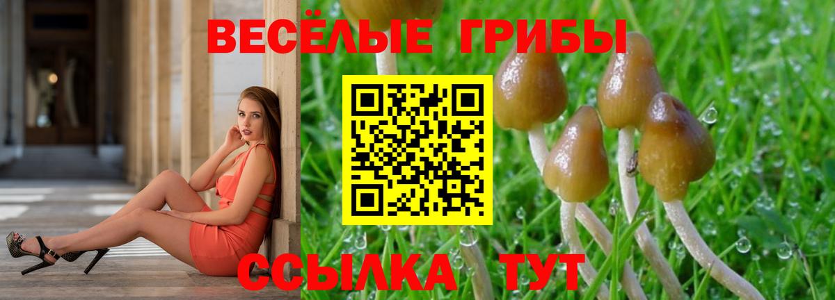 Обнинск  Псилоцибиновые грибы ЛСД  Вход с VPN 